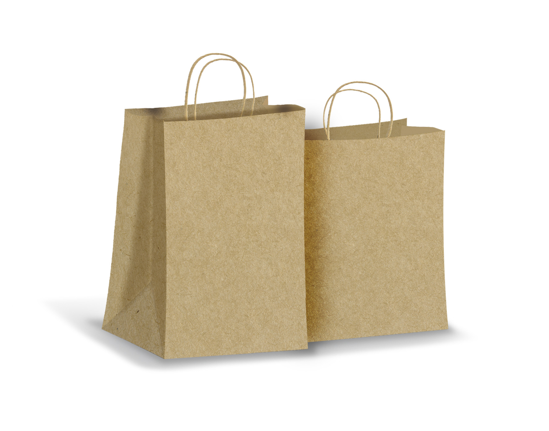 Imagen producto Bolsas de Papel con Manigueta 2